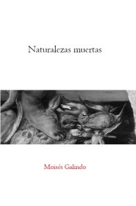 'Naturalezas muertas', de Moisés Galindo