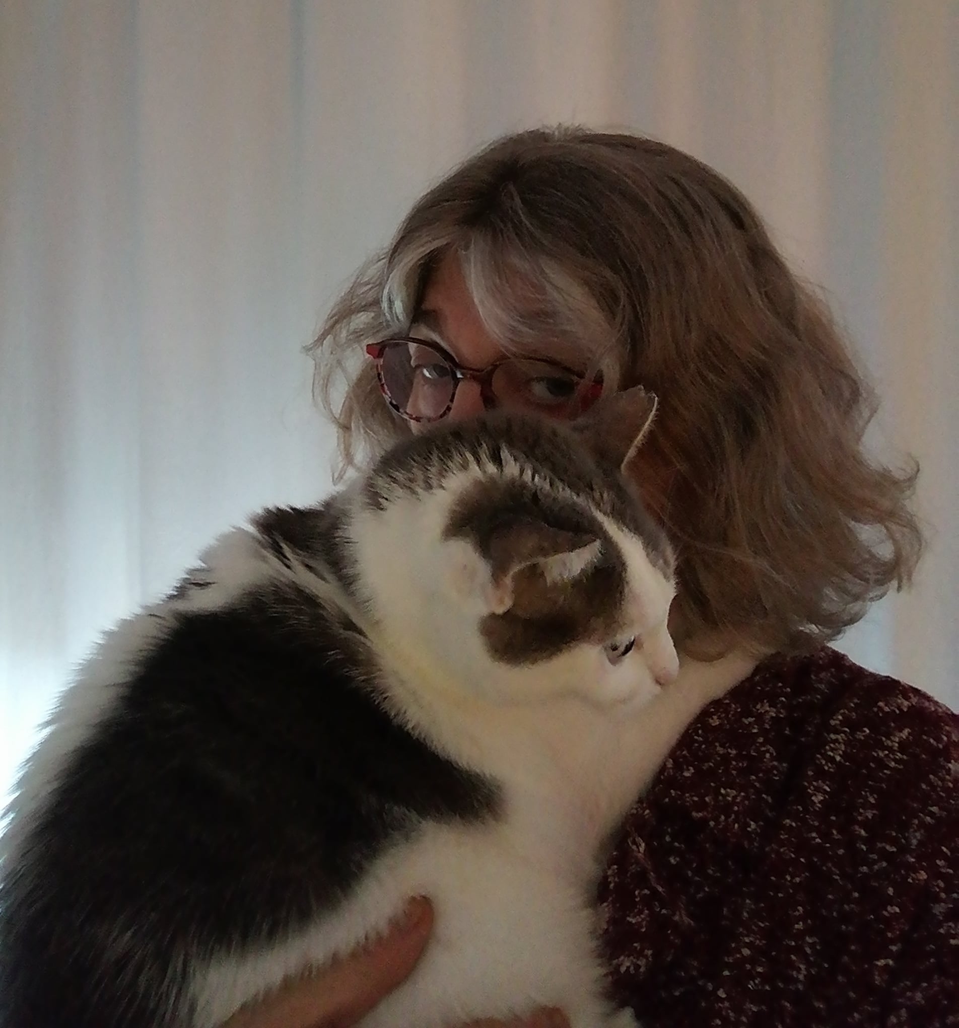 Dolores Alcántara Madrid